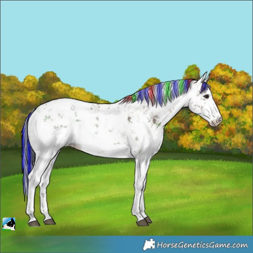 Horse Color:Painted White Spotted Bay Ice Dun Sabino
