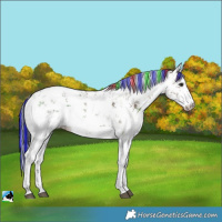 Horse Color:Painted White Spotted Bay Ice Dun Sabino 