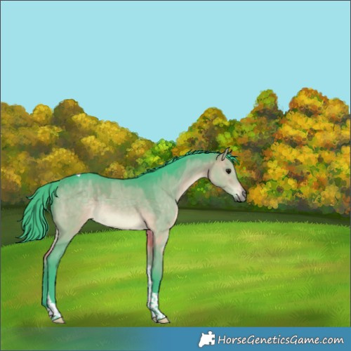 Horse Color:Watercolor Brown Dun Tobiano Rabicano 