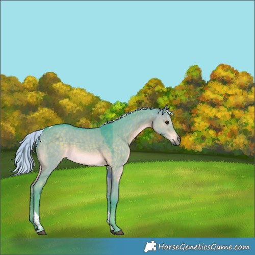 Horse Color:Watercolor Silver Brown Dun Tobiano Rabicano 