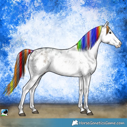Horse Color:Painted White Spotted Brown Ice Dun Sabino