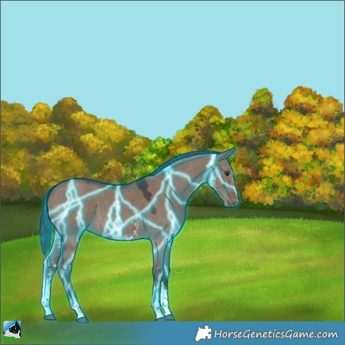 Horse Color:Thunderstruck Liver Red Dun Sabino 