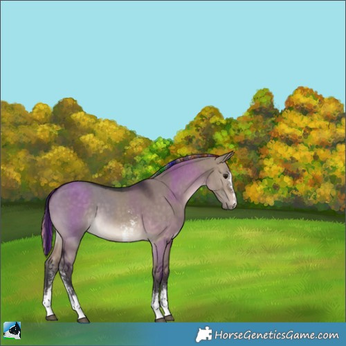 Horse Color:Painted Brown Dun Sabino 