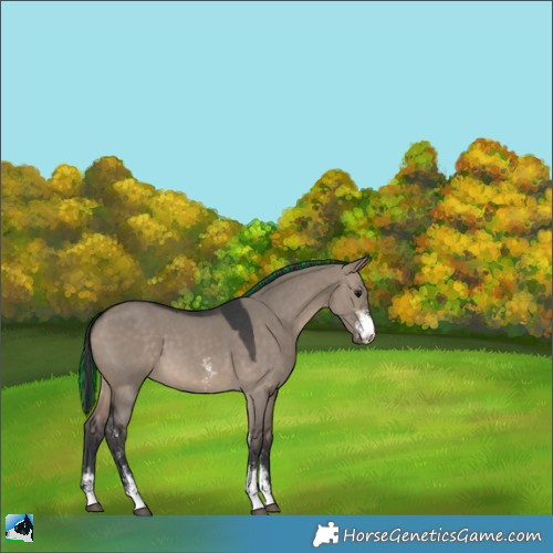 Horse Color:Painted Brown Dun Sabino 