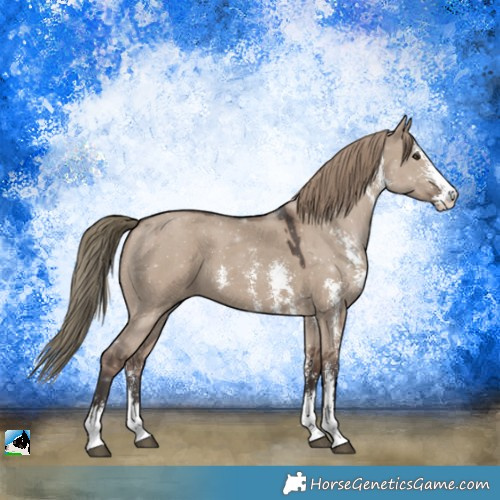 Horse Color:Liver Red Dun Sabino