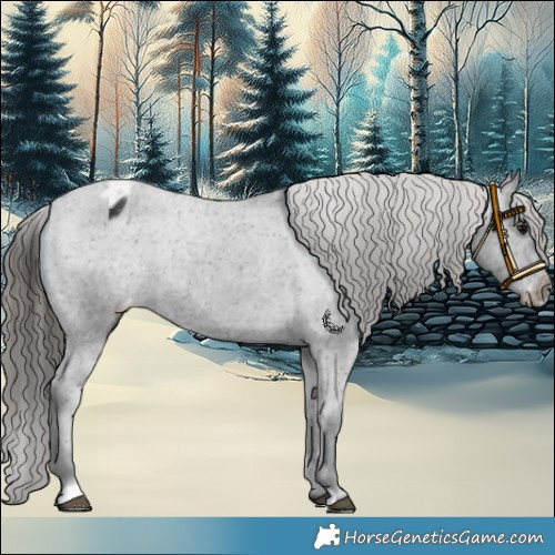 Horse Color:Black Varnish Rabicano 
