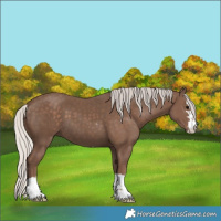 Horse Color:Silver Black