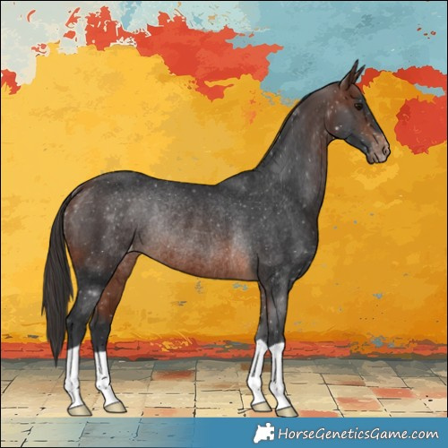 Horse Color:Brown Varnish Rabicano 