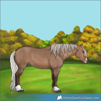 Horse Color:Silver Brown Dun 