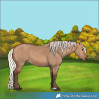 Horse Color:Silver Bay Dun