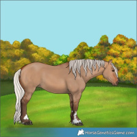 Horse Color:Silver Bay Dun