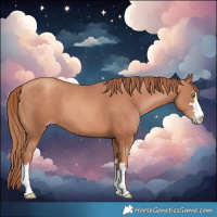 Horse Color:Gold Champagne 