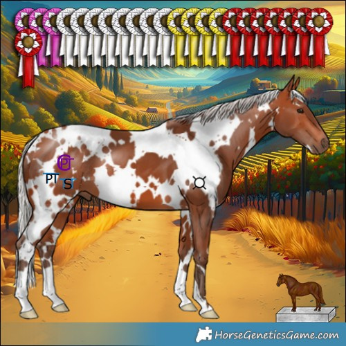 Horse Color:White Spotted Silver Bay