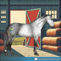 Horse Color:Gray Brown Tobiano Rabicano