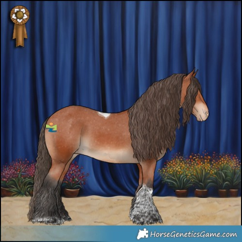 Horse Color:Bay Tobiano Appaloosa Rabicano 