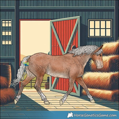 Horse Color:Silver Bay Tobiano Appaloosa Rabicano 