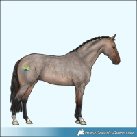 Horse Color:Bay Roan Dun