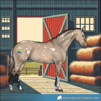 Horse Color:White Spotted Bay Dun Tobiano 