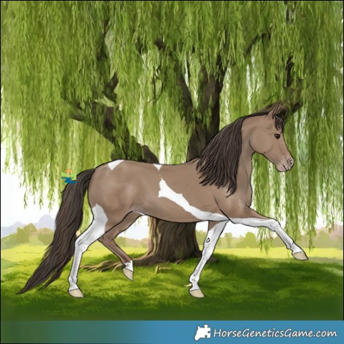Horse Color:Classic Champagne Tobiano 