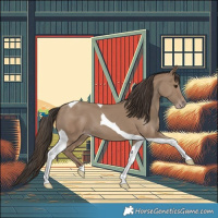 Horse Color:Classic Champagne Tobiano 
