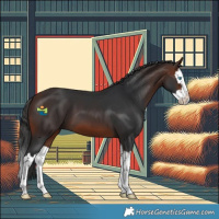 Horse Color:Brown Splash 