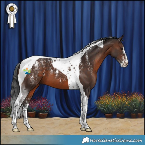 Horse Color:Powder White Brown Tobiano 