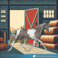 Horse Color:Silver Black Tobiano