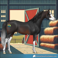 Horse Color:Brown Splash 