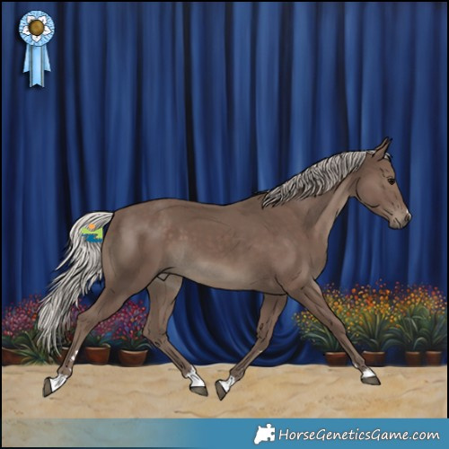 Horse Color:Silver Black 