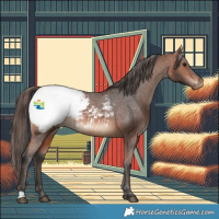 Horse Color:Bay Snowcap 