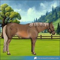 Horse Color:Chocolate Palomino 