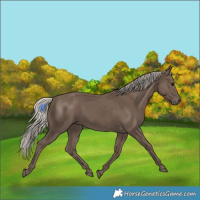 Horse Color:Silver Black 