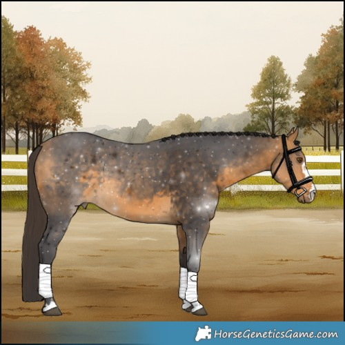 Horse Color:Buckskin 