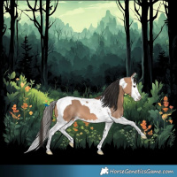 Horse Color:Bay Dun Splash Tobiano 