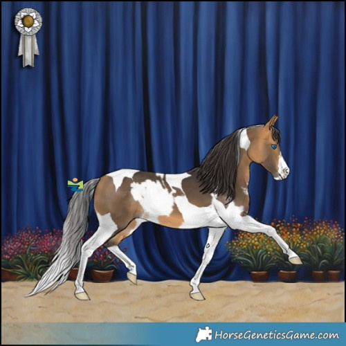 Horse Color:White Spotted Brown Dun Splash Tobiano  and Buckskin Tobiano 