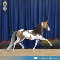 Horse Color:White Spotted Brown Dun Splash Tobiano  and Buckskin Tobiano 