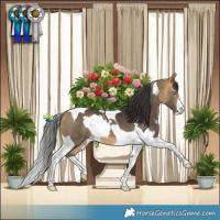 Horse Color:White Spotted Brown Dun Splash Tobiano and Buckskin Tobiano