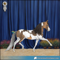 Horse Color:White Spotted Brown Dun Splash Tobiano  and Buckskin Tobiano 