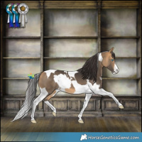 Horse Color:White Spotted Brown Dun Splash Tobiano and Buckskin Tobiano