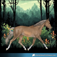 Horse Color:Chocolate Palomino 