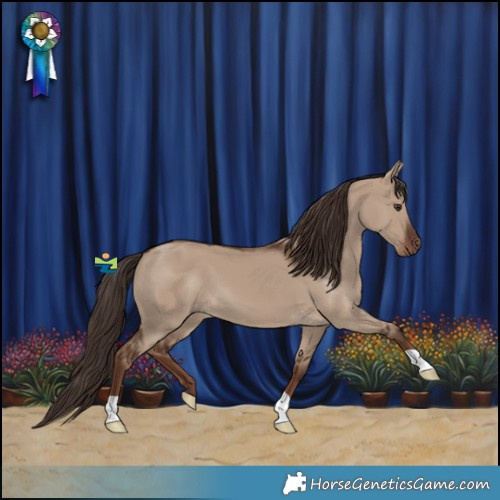 Horse Color:Liver Red Dun 