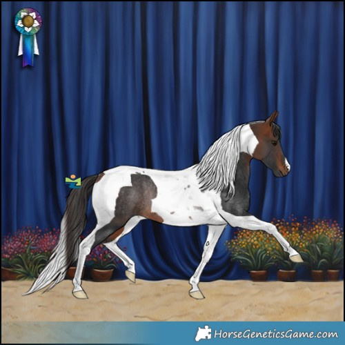 Horse Color:Bay Tobiano Rabicano 