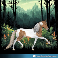 Horse Color:Chocolate Palomino Tobiano