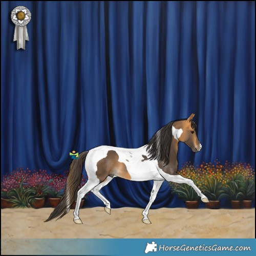 Horse Color:Buckskin Tobiano 