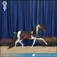 Horse Color:Bay Tobiano 