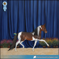 Horse Color:Bay Tobiano 