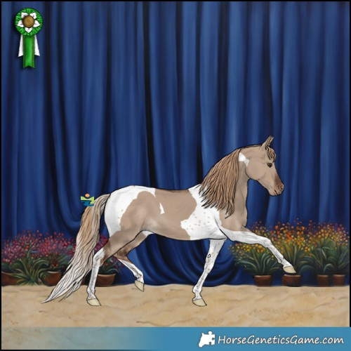 Horse Color:Liver Red Dun Tobiano