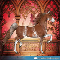 Horse Color:White Spotted Chestnut 