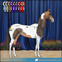Horse Color:Buckskin Tobiano 