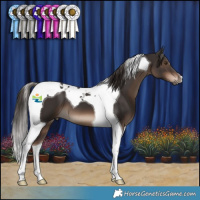 Horse Color:Liver Chestnut Tobiano 